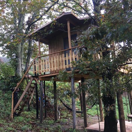 Cabril Palheiro Do Vale Do Paiva别墅 外观 照片