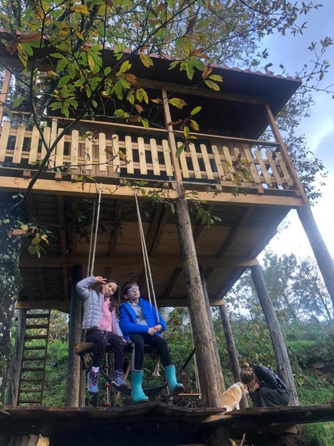 Cabril Palheiro Do Vale Do Paiva别墅 外观 照片